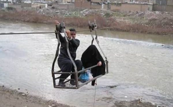 گرگر در لرستان باز خبر ساز شد گرگر در لرستان باز خبر ساز شد