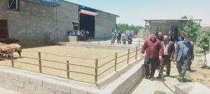 به مناسب هفته جهاد کشاورزی چندین طرح در سلسله افتتاح شد