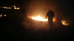 مهار آتش سوزی منطقه بسطام سلسله لرستان