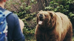 حمله خرس به شکارچی  لرستانی