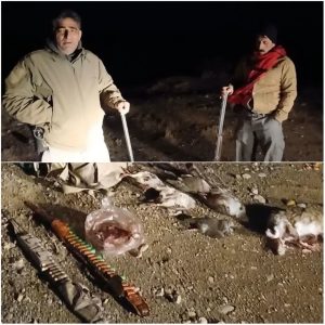 دستگیری گروه شکارچی متخلف در سلسله