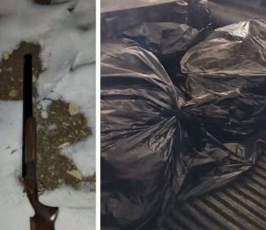 شکارچیان گراز وحشی در دام حفاظت محیط‌زیست سلسله