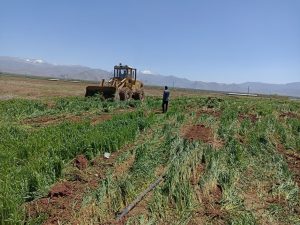 رفع تصرف و اعاده بوضع سابق رودخانه فصلی سرخوانجوب سلسله