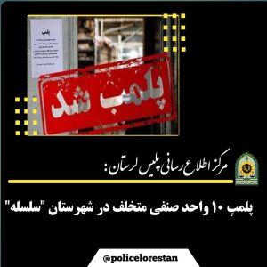 ۱۰ واحد صنفي متخلف در شهرستان “سلسله پلمپ شد