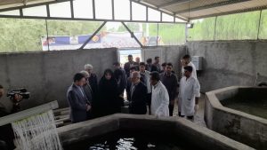 آیین افتتاح طرح پرورش و تکثیر ماهی قزل‌آلا در شهرستان سلسله