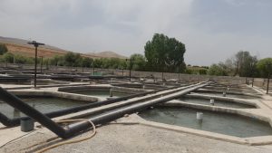 بازدید فرماندار سلسله و مسئولان از ایستگاه پمپ پاژ فیض‌آباد/و مجتمع پرورش ماهی دوآب