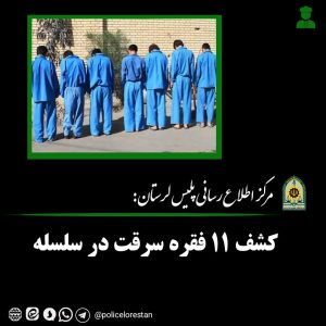 کشف ۱۱ فقره سرقت در سلسله