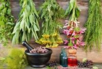 تولید ۲۴ هزار تن گیاه دارویی در لرستان