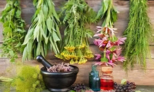 تولید ۲۴ هزار تن گیاه دارویی در لرستان تولید ۲۴ هزار تن گیاه دارویی در لرستان