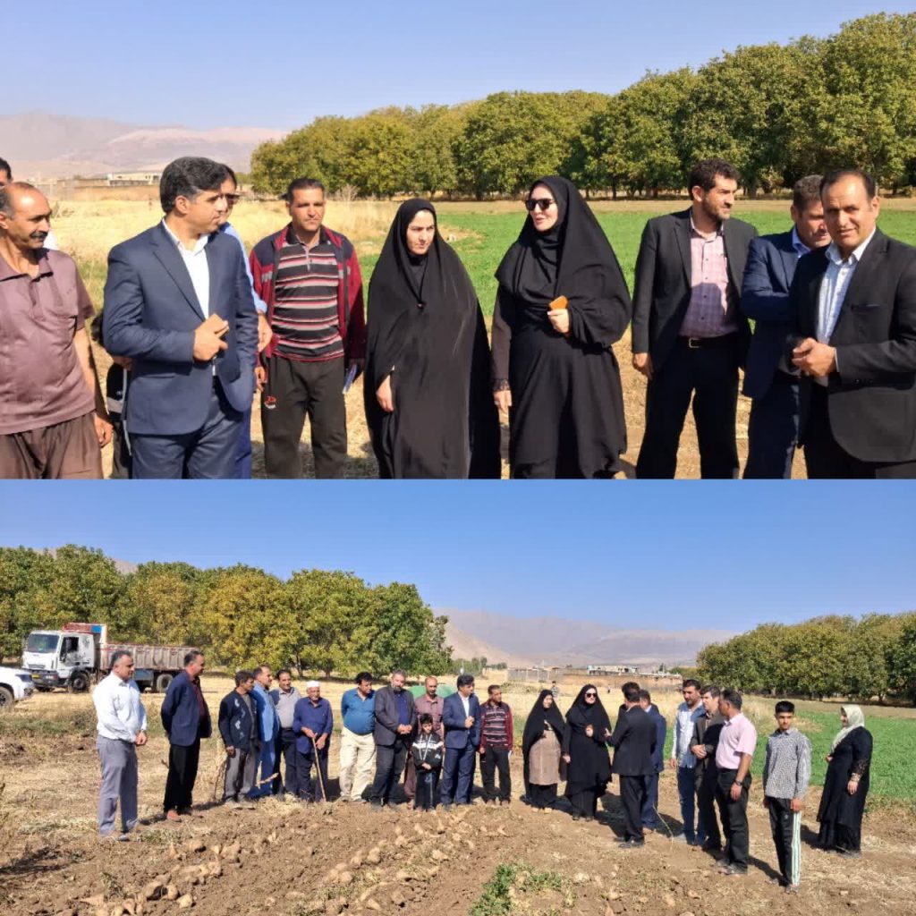 بازدید از برداشت محصول چغندر کشاورز نمونه کشوری