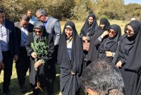 پویش درختکاری با عنوان «پویش روستا و عشایر