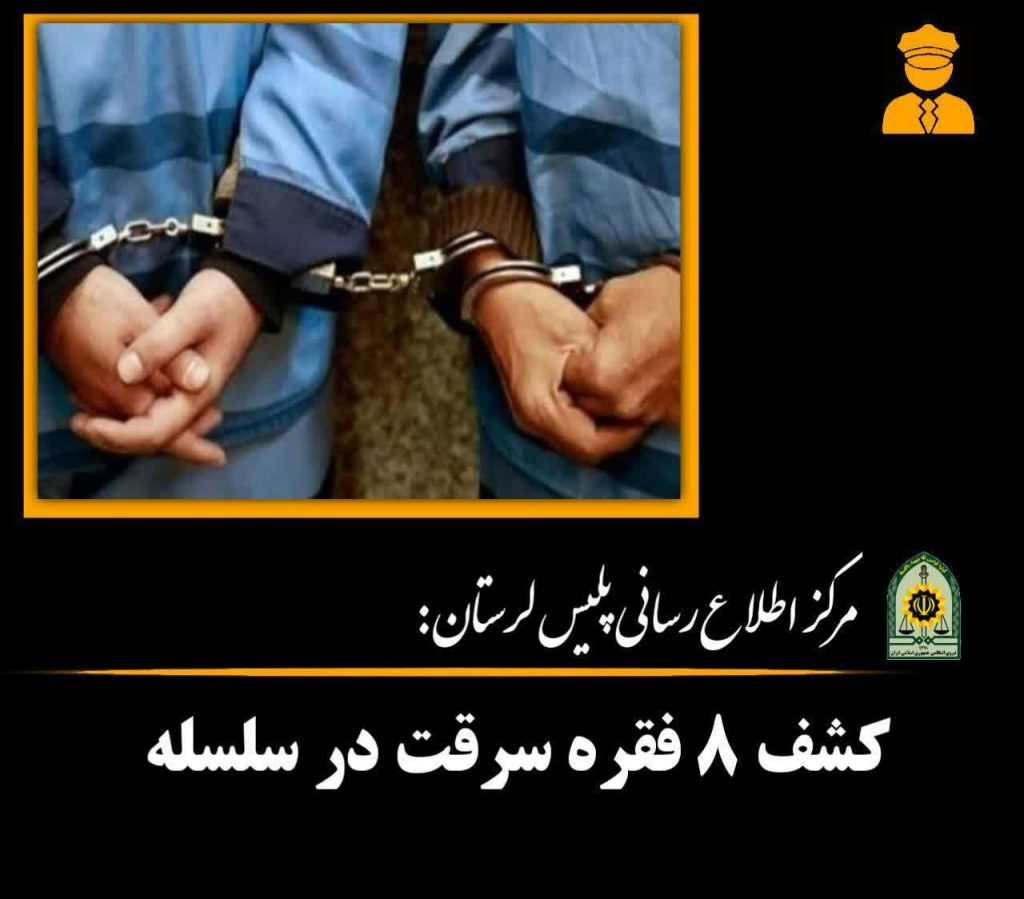 کشف ۸ فقره سرقت در سلسله