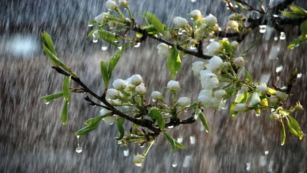 طراوت هوای لرستان در پی بارش‌های بهاری