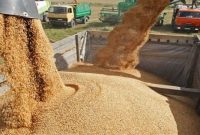 توزیع۱۵۲ هزار تن نهاده دامی در لرستان