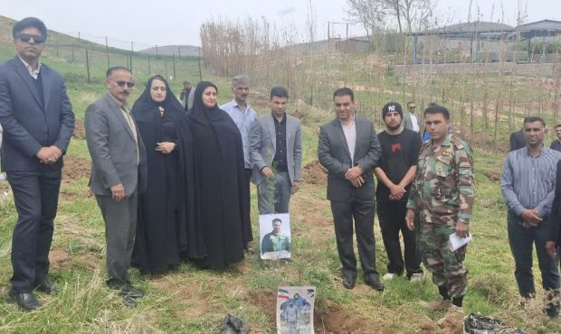 پویش ملی «سرو ایران» در سلسله برگزار شد پویش ملی «سرو ایران» در سلسله برگزار شد
